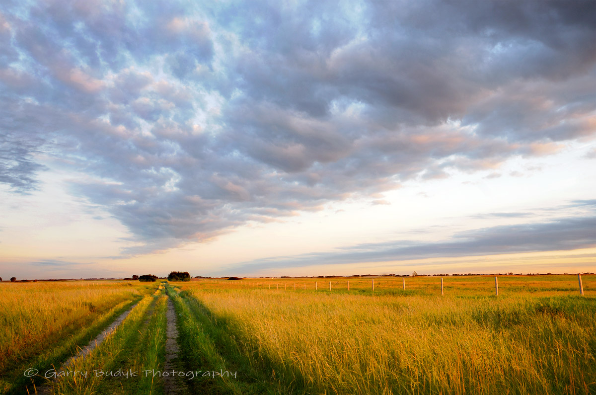 Prairie Two Track