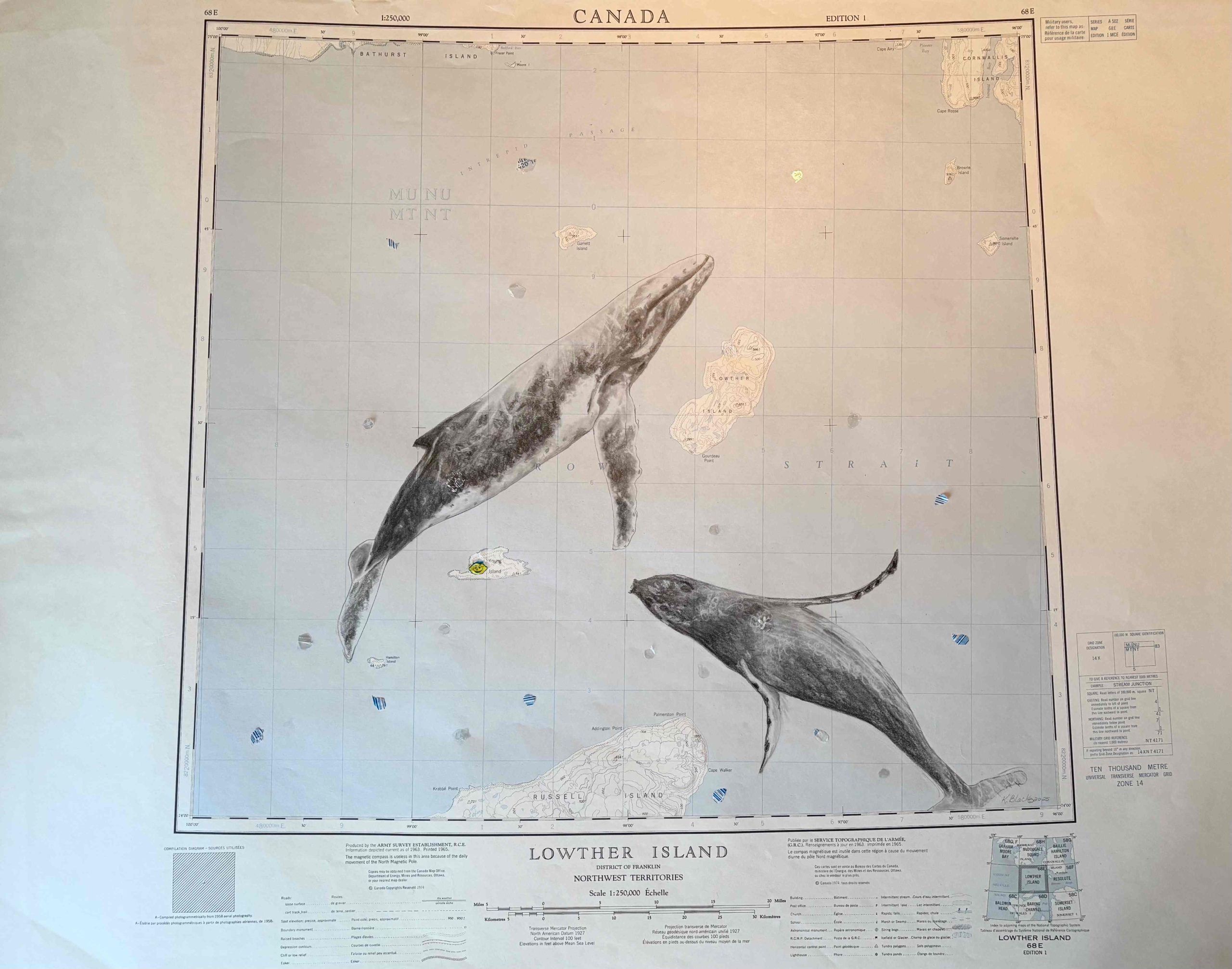 Plastic and Whale Both Migrate