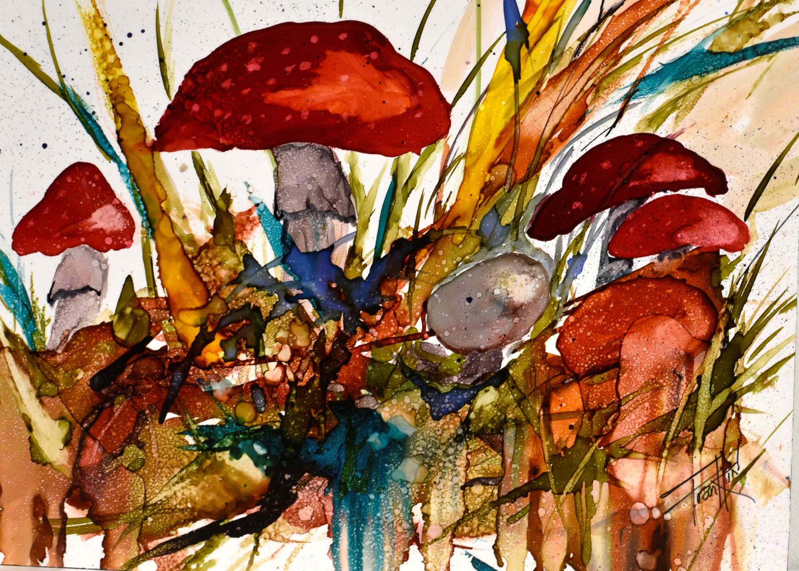 Make Room for Schrooms