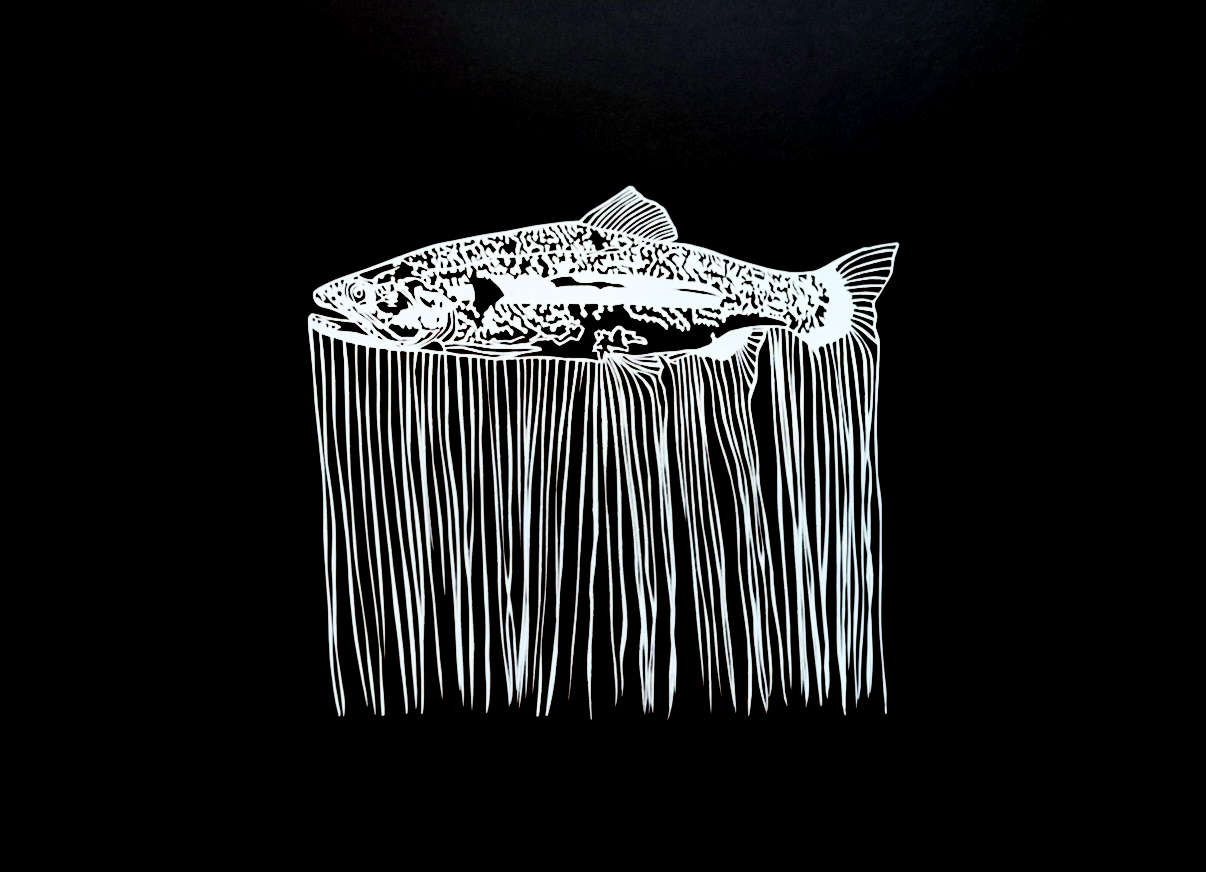 renewably terminated (rainbow trout)