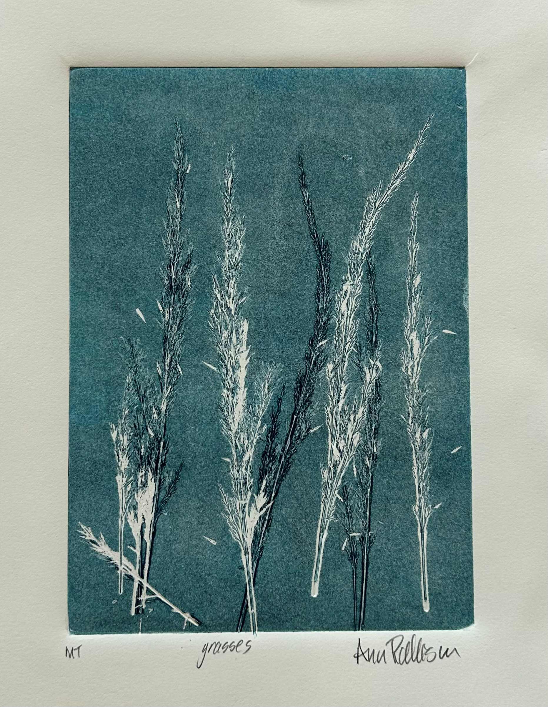 Grasses