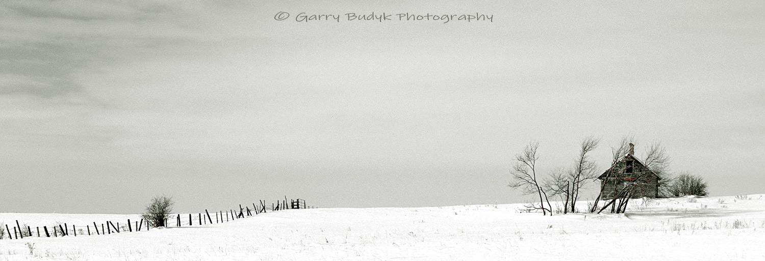 Winter Prairiescape