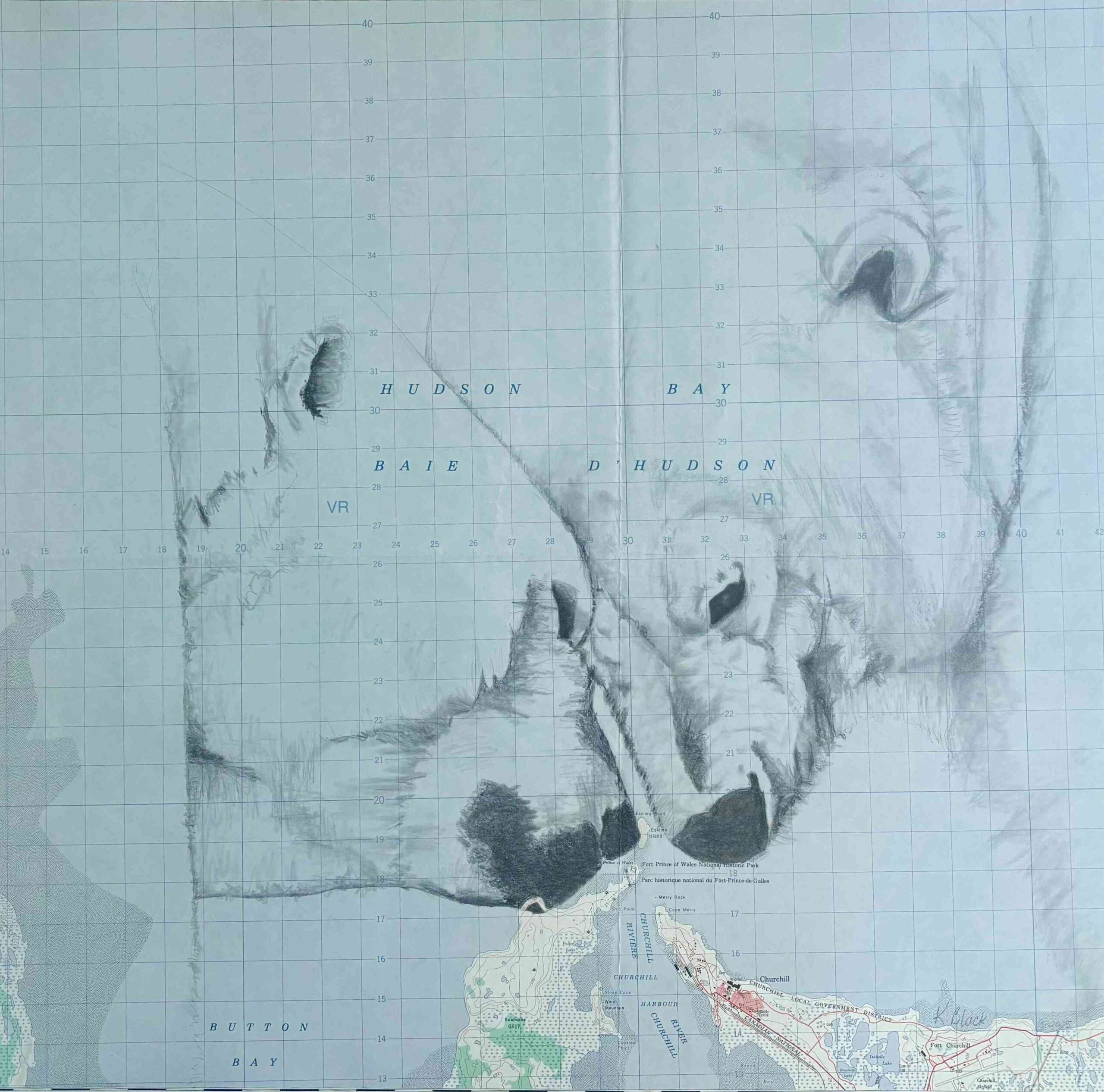 Churchill - Snuggling Polar Bears